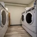 2 bedrooms apartment for rent in Crown Heights - Brooklyn, New York
