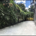 Room for rent in Washington Heights #7