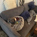 Room for rent in Prospect Lefferts Gardens #2