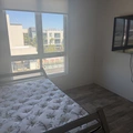 Room for rent in Hollywood #2