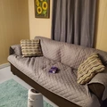 Room for rent in Independence #5
