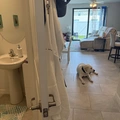 Room for rent in Fort Myers Shores #8