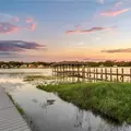 Room for rent in Ocoee #7
