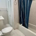 3 bedrooms apartment for rent in Flatlands - Brooklyn, New York