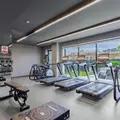 1 bedroom apartment for rent in Flushing - Queens, New York