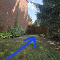 Room for rent in North Bethesda #12