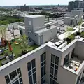 1 bedroom apartment for rent in Crown Heights - Brooklyn, New York