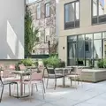 1 bedroom apartment for rent in Crown Heights - Brooklyn, New York