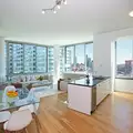 1 bedroom apartment for rent in LIC - Queens, New York