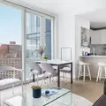 1 bedroom apartment for rent in LIC - Queens, New York