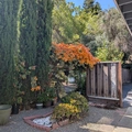Room for rent in Mountain View #6