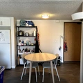 Room for rent in College Area SD #8