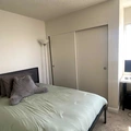 Room for rent in College Area SD #10