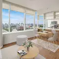 1 bedroom apartment for rent in LIC - Queens, New York