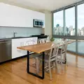 1 bedroom apartment for rent in LIC - Queens, New York