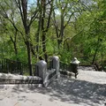 1 bedroom apartment for rent in Harlem - Manhattan, New York