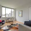 2 bedrooms apartment for rent in Roosevelt Island - Manhattan, New York