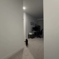 Room for rent in Wake Forest #15