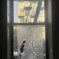Room for rent in Bedford Stuyvesant #4