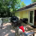 Room for rent in Rockville #7