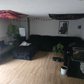 Room for rent in Aurora CO #10