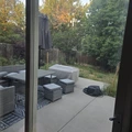 Room for rent in Aurora CO #11