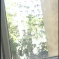 Room for rent in Lower East Side #2