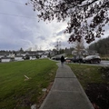 Room for rent in Renton #10