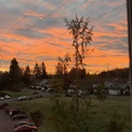 Room for rent in Renton #11