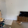 Room for rent in Palms #7