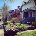 Room for rent in Junction-Wallace Emerson #5