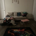 Room for rent in Southeast Arlington #5