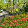 Studio Apartment for rent in Morningside Heights - Manhattan, New York