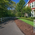 Room for rent in Southwest Hills #3