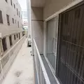 Room for rent in Hollywood #8