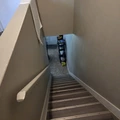 Room for rent in Wellington #6
