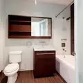 1 bedroom apartment for rent in FiDi - Manhattan, New York