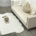 Room for rent in Scarborough Village #2