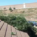 Room for rent in Garden Grove #5