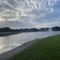 Room for rent in Palm Beach #8