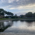 Room for rent in Palm Beach #9