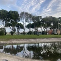 Room for rent in Palm Beach #10