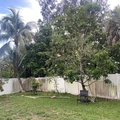 Room for rent in Palm Beach #16