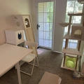 Room for rent in Westerville #9