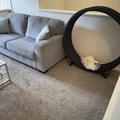 Room for rent in Westerville #8
