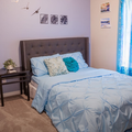 Room for rent in Temple #4