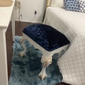 Room for rent in North Fort Worth #6