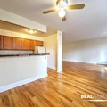 1 bedroom apartment for rent in Gold Coast - Central, Chicago