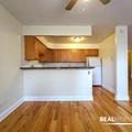 1 bedroom apartment for rent in Gold Coast - Central, Chicago