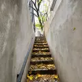2 bedrooms apartment for rent in Bedford Stuyvesant - Brooklyn, New York